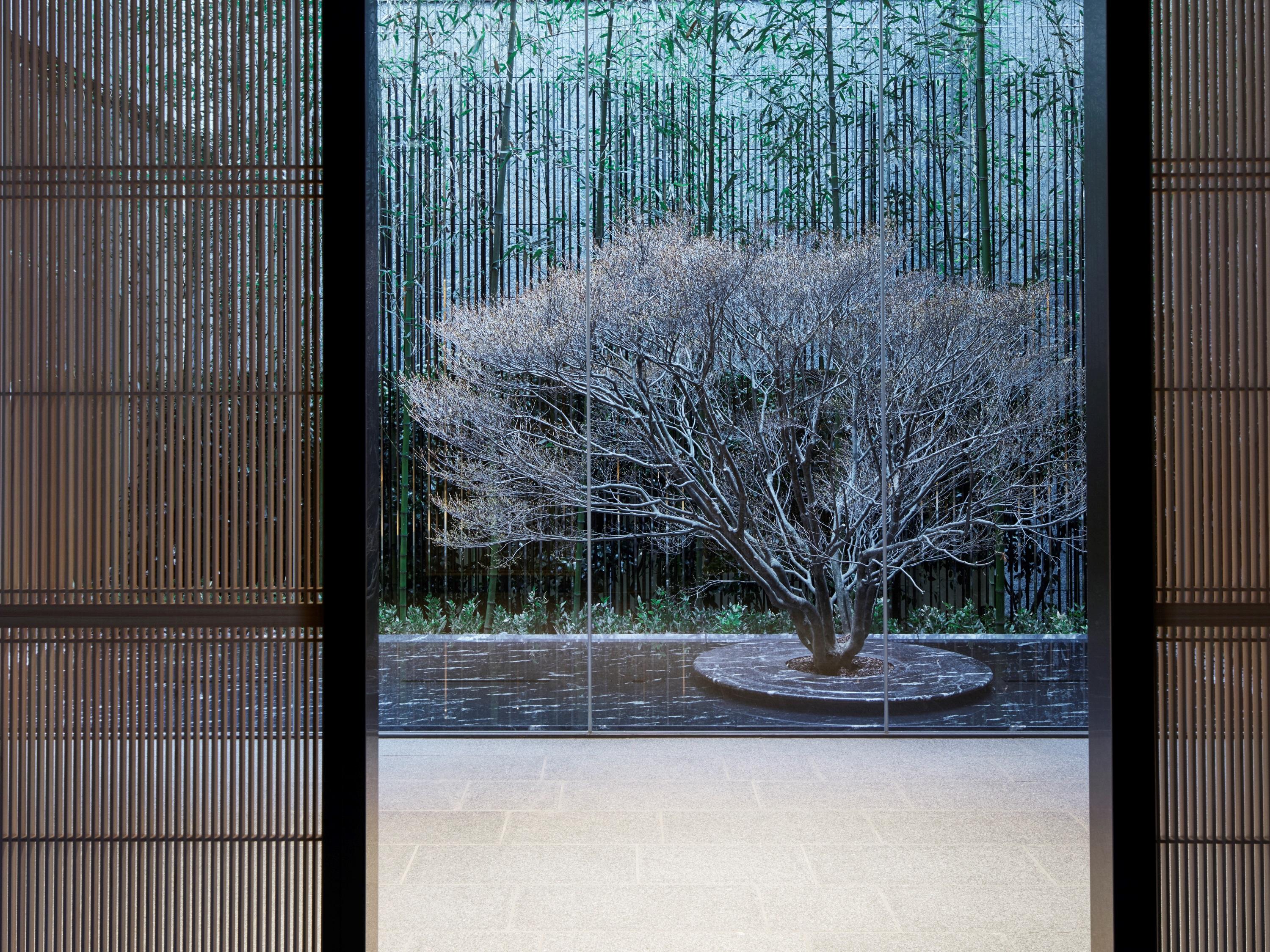 The Thousand Kyōto Exterior foto A view of the garden from the house
